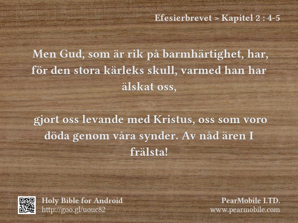Efesierbrevet, Kapitel 2:4-5